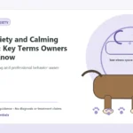 Custom Healthy Paws Essentials illustration for Dog Anxiety and Calming Glossary: Key Terms Owners Should Know, showing a dog and a vet-first care planning concept.