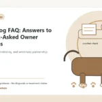 Custom Healthy Paws Essentials illustration for Senior Dog FAQ: Answers to the Most-Asked Owner Questions, showing a dog and a vet-first care planning concept.