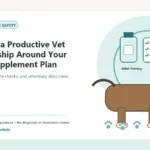 Custom Healthy Paws Essentials illustration for Building a Productive Vet Relationship Around Your Dog's Supplement Plan, showing a dog and a vet-first care planning concept.