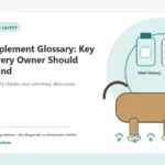 Custom Healthy Paws Essentials illustration for Dog Supplement Glossary: Key Terms Every Owner Should Understand, showing a dog and a vet-first care planning concept.