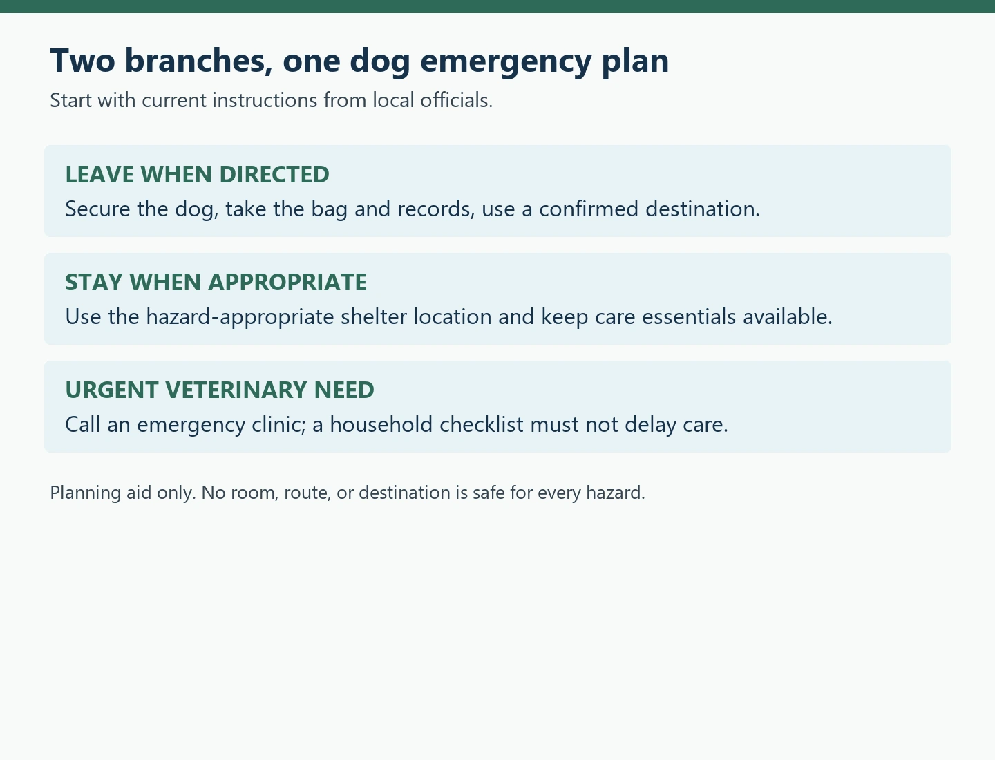 Planning diagram with leave, stay, and urgent veterinary care branches.